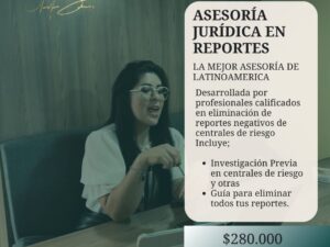 Asesoría de eliminación de reportes